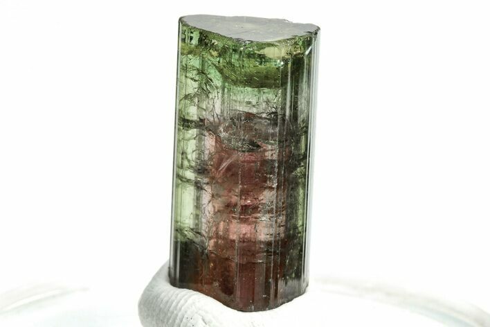Bicolor Elbaite Tourmaline Crystal - Aricanga Mine, Brazil #206863